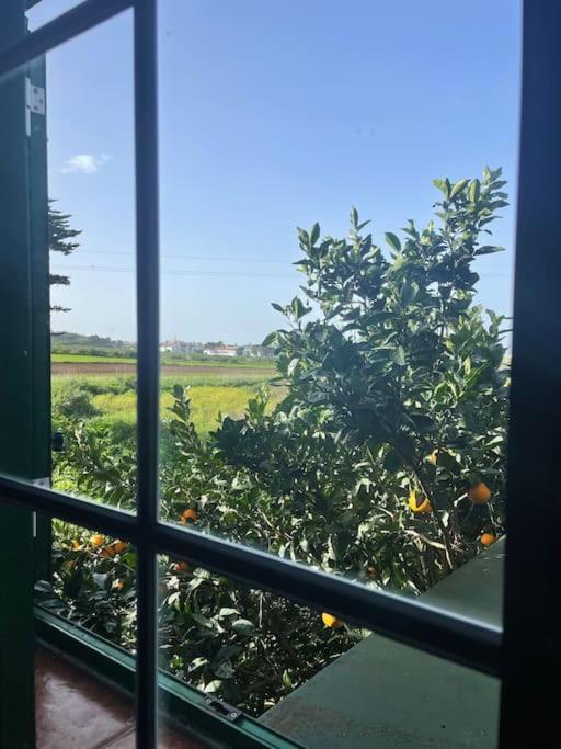فيلا La Macadamia لا لاغونا المظهر الخارجي الصورة